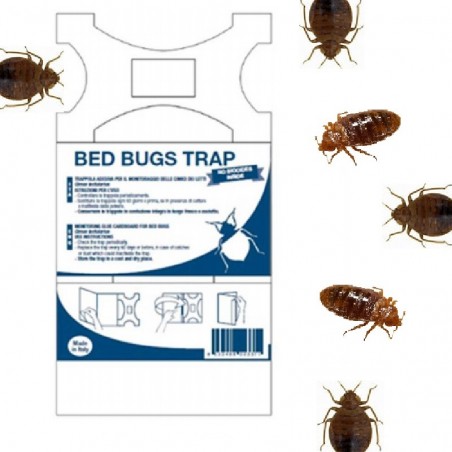 Bed Bugs Trap - Cimici dei Letti